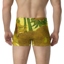 Load image into Gallery viewer, Boxer Briefs