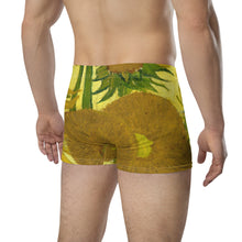 Load image into Gallery viewer, Boxer Briefs