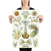 Load image into Gallery viewer, Poster