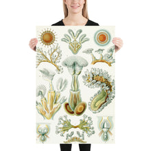 Load image into Gallery viewer, Poster