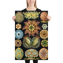 Load image into Gallery viewer, Poster