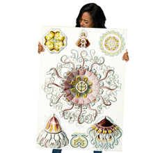 Load image into Gallery viewer, Poster