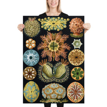 Load image into Gallery viewer, Poster