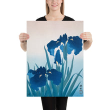 Load image into Gallery viewer, Poster