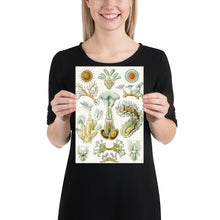 Load image into Gallery viewer, Poster
