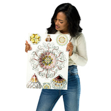 Load image into Gallery viewer, Poster
