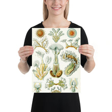 Load image into Gallery viewer, Poster
