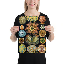 Load image into Gallery viewer, Poster
