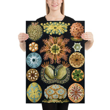 Load image into Gallery viewer, Poster
