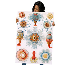 Load image into Gallery viewer, Poster
