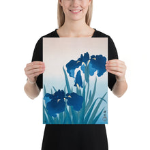 Load image into Gallery viewer, Poster
